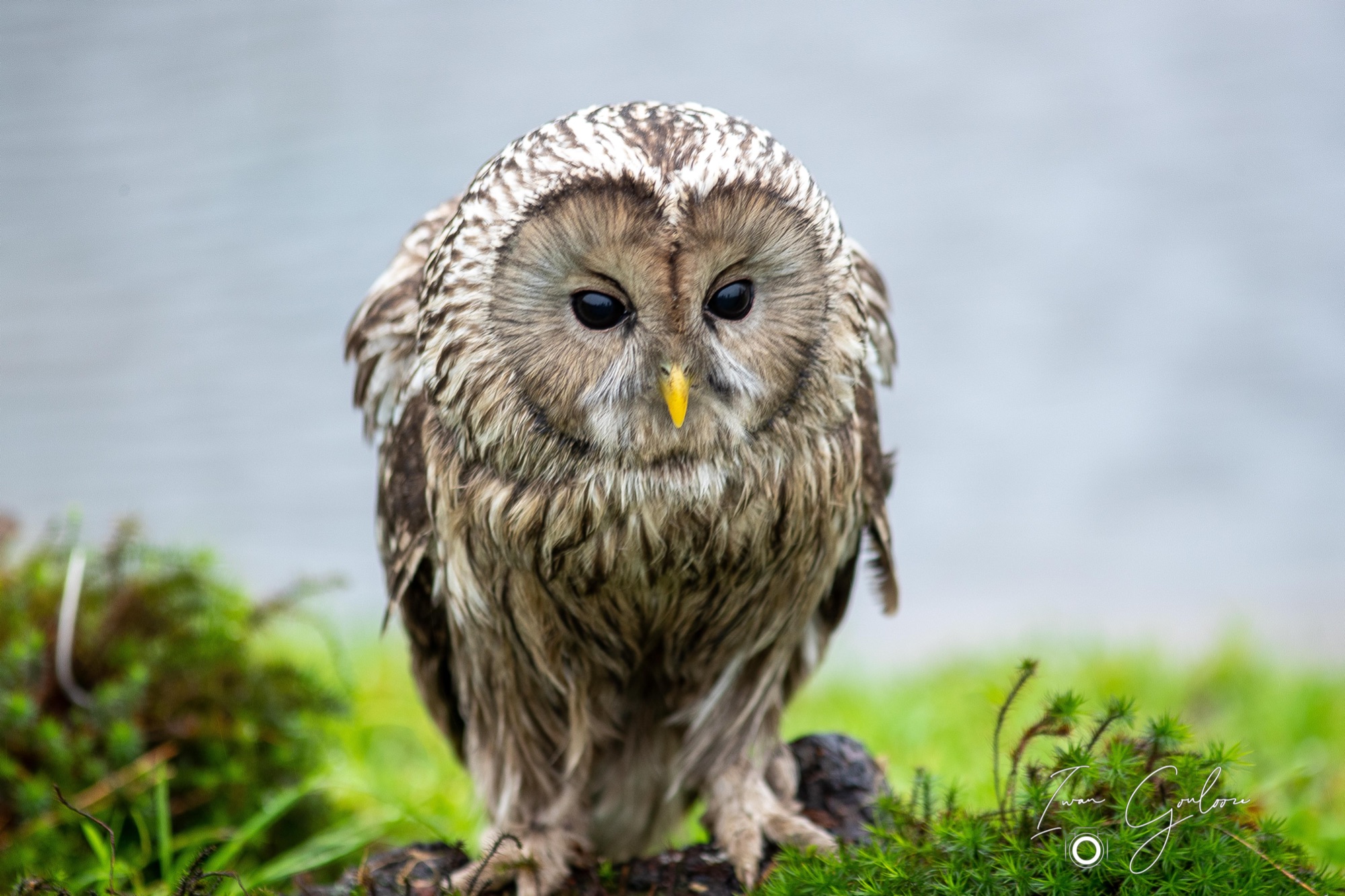 1DX46444 12 december 2021 1330 43